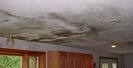 Water Damage Repair